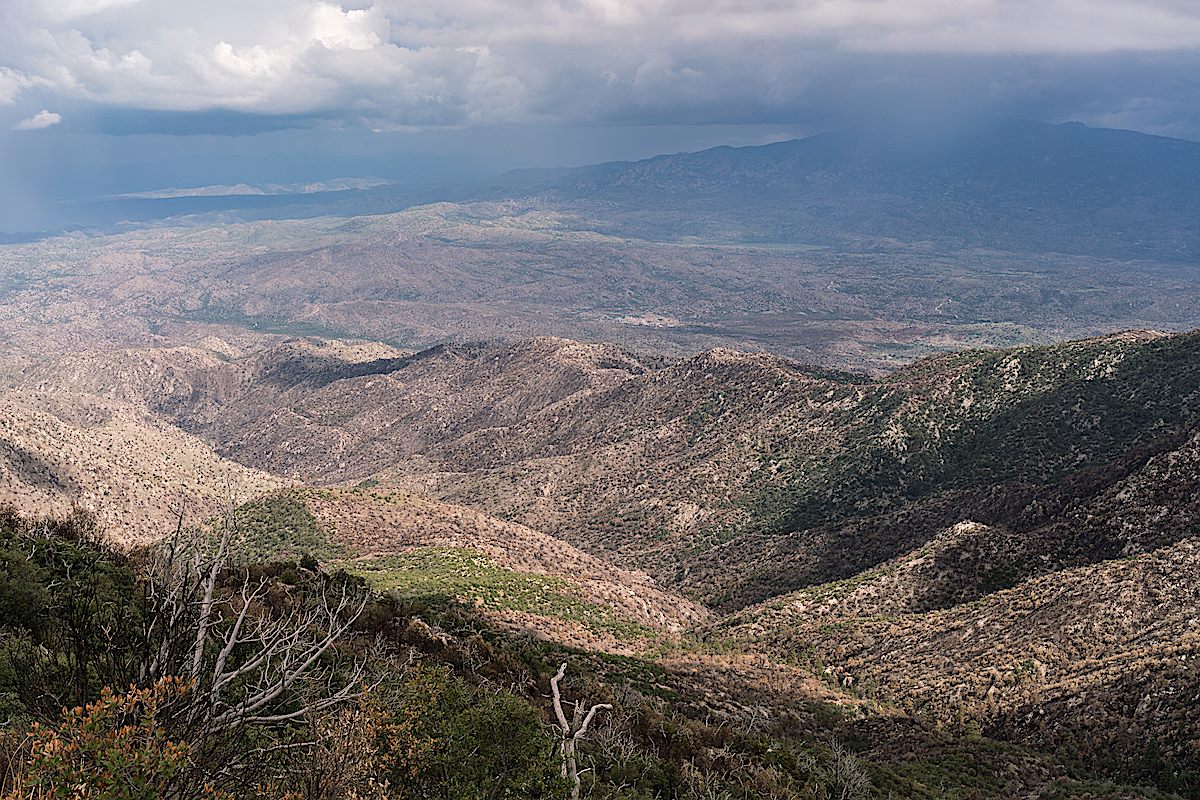 Looking down from the slopes of Guthrie Mountain on Burro Creek - also burned in the Burro Fire. July 2017.