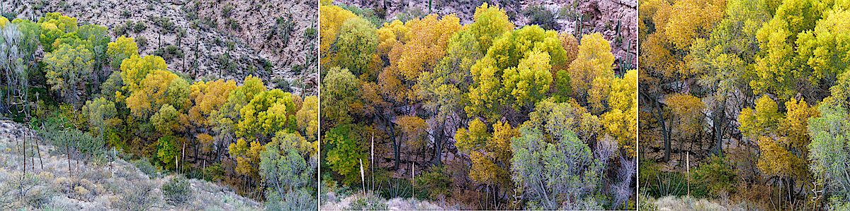 Color in Buehman Canyon. December 2017.