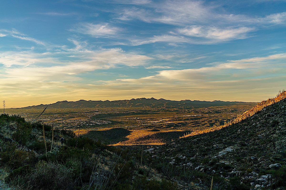 Looking down and out Dead Horse Canyon. December 2017.