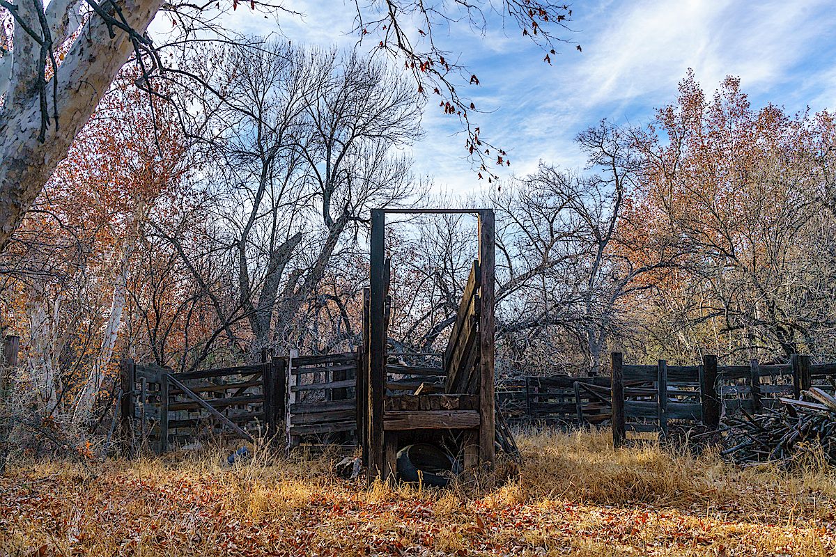Old cattle chute and fall leaves in Edgar Canyon. January 2018.