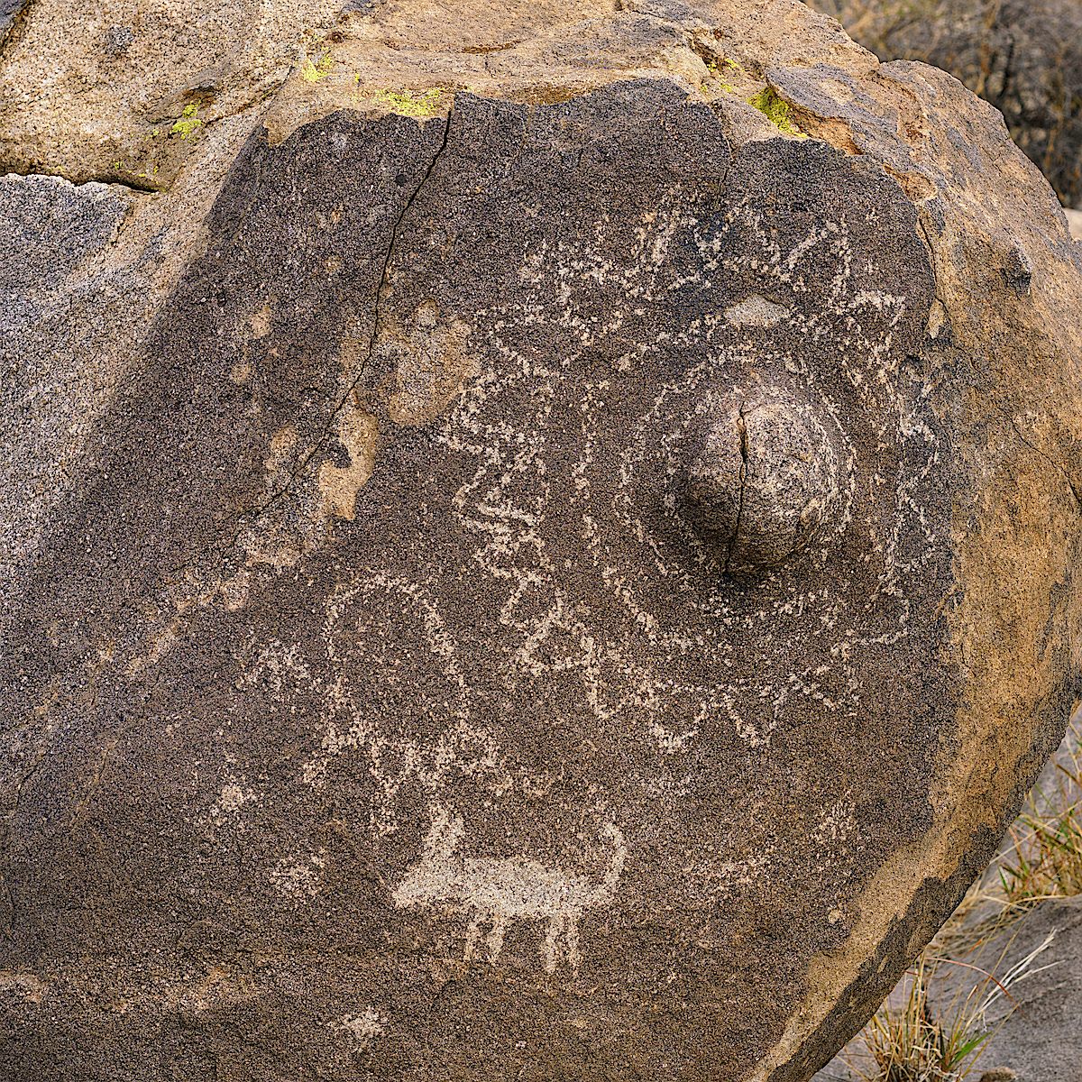 Sutherland Wash Rock Art District Petroglyphs. January 2018.