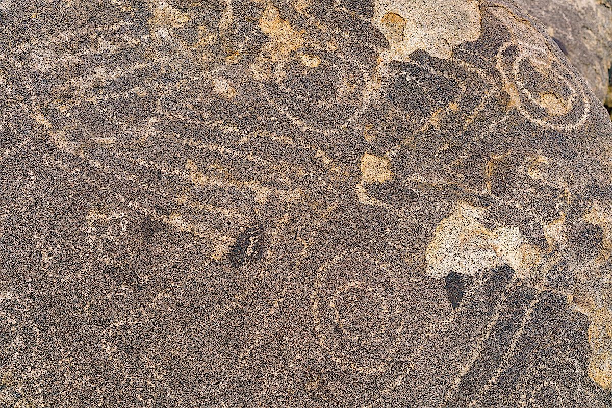 Sutherland Wash Rock Art District Petroglyphs. January 2018.