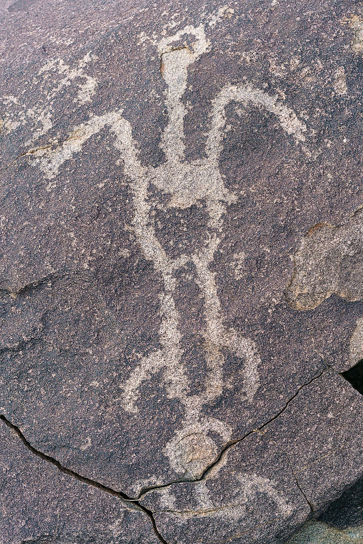 Sutherland Wash Rock Art District Petroglyphs. January 2018.