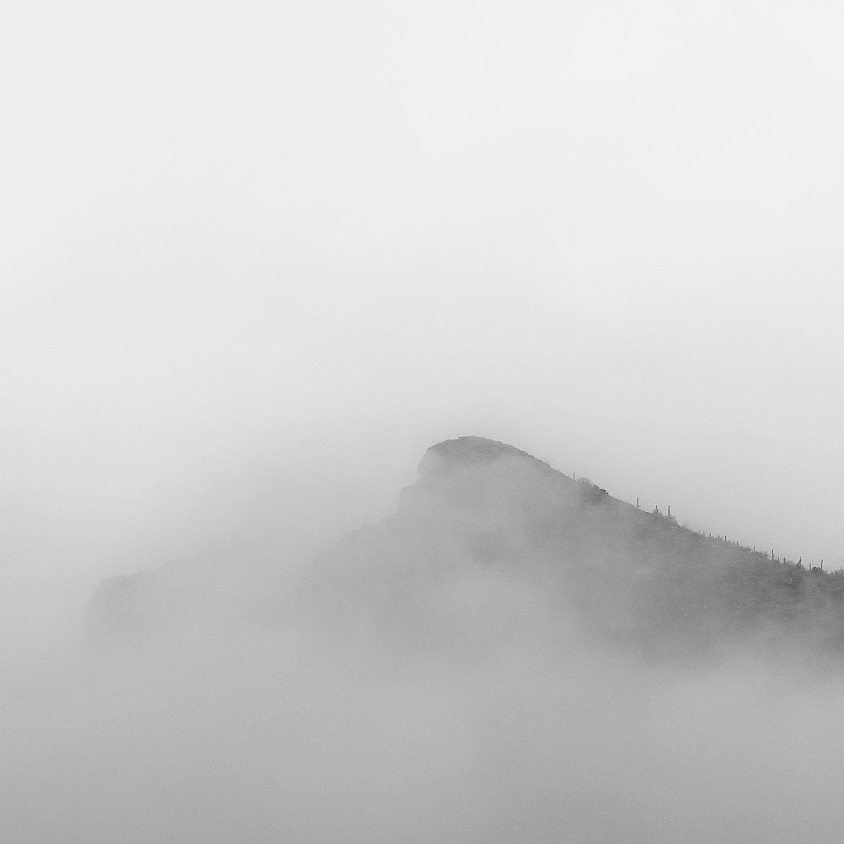Weathertop in low clouds, from the General Hitchcock Highway. February 2018.