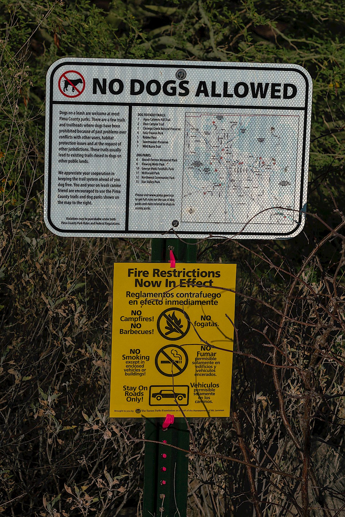 Temporary Yellow Fire Restrictions sign under the No Dogs Allowed sign at the Iris Dewhirst Pima Canyon Trailhead. May 2018.