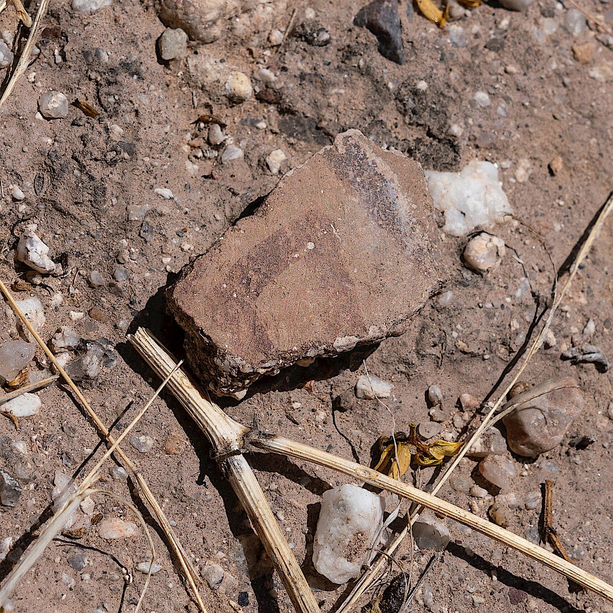 Second Canyon Sherd. May 2018.