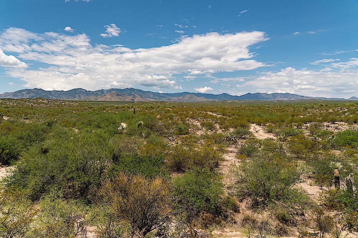 East side of the Santa Catalina Mountains from the SunZia Route north of Davis Mesa Road. July 2018.
