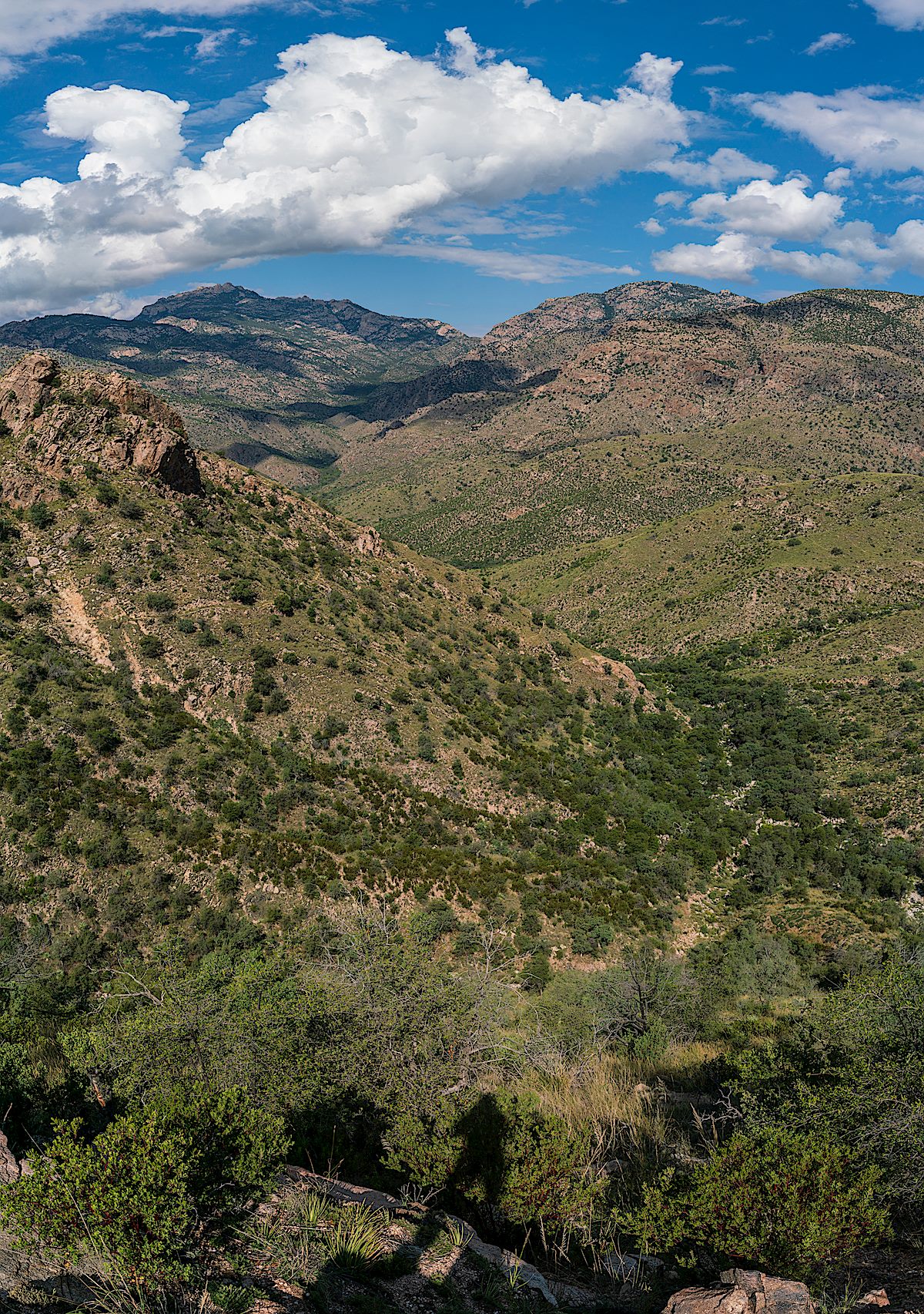 Looking across the Santa Catalina Mountains towards Romero Pass. September 2018.