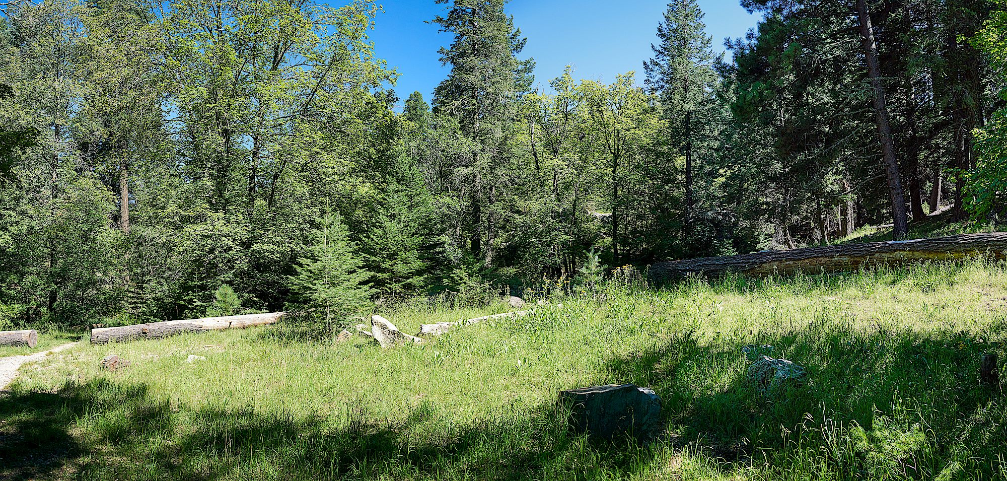bear wallow Hike Lemmon!