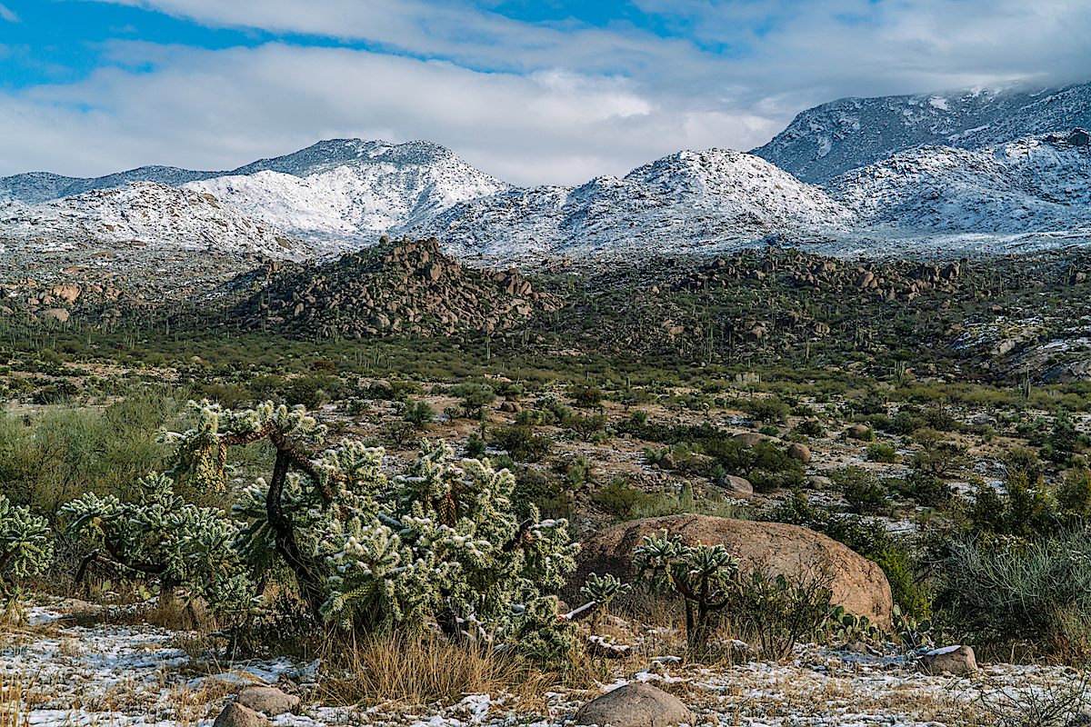 Looking towards a snowy Charlouea Gap from the Golder Ranch Area. January 2019.
