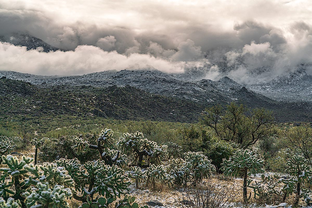 Snow on the Cholla and clouds over the Santa Catalina Mountains from the Golder Ranch North Parking Area. January 2019.