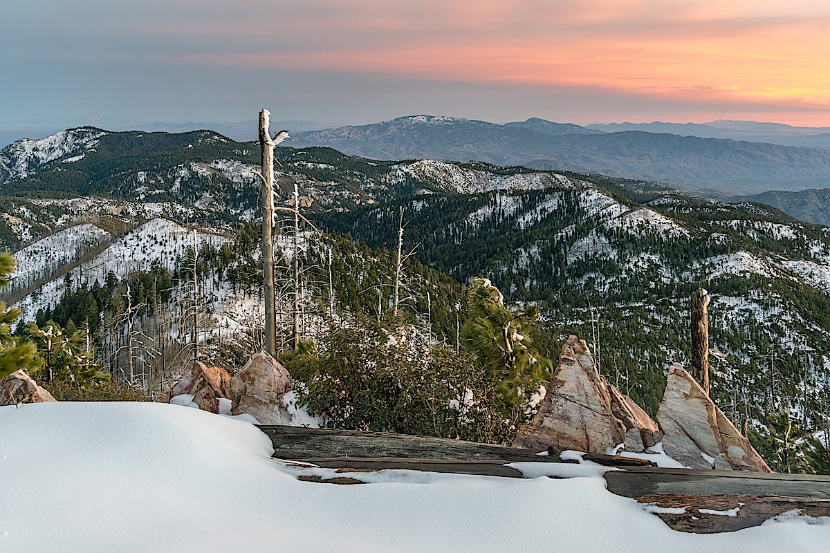 Snowy Santa Catalina Mountains from near the start of the Aspen Trail off Radio Ridge. January 2019.