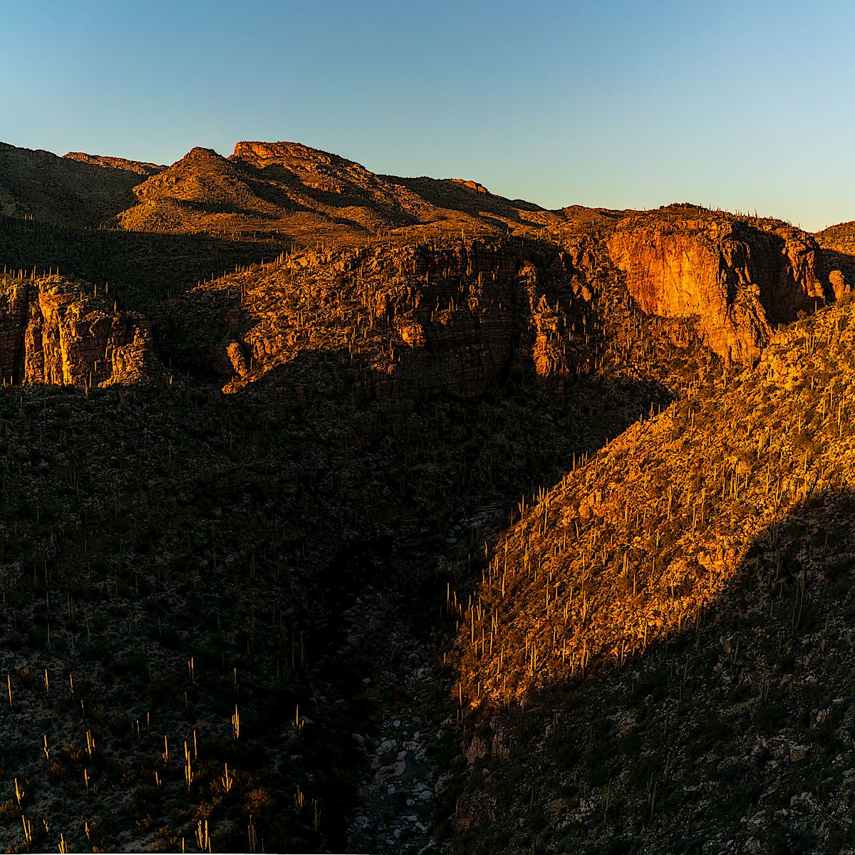 Sunset from the edge of Agua Caliente Canyon. January 2019.