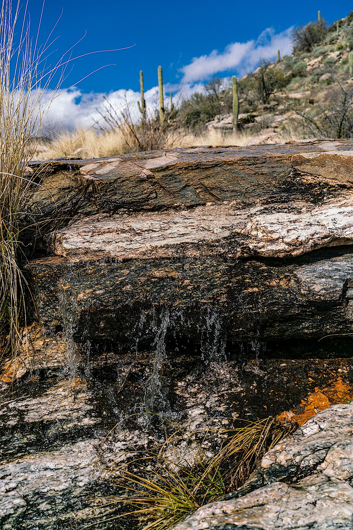 Water at a rocky canyon crossing lower on the Soldier Trail. February 2019.