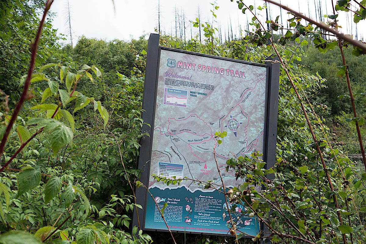Small trail sign near the start of the trail. September 2014.