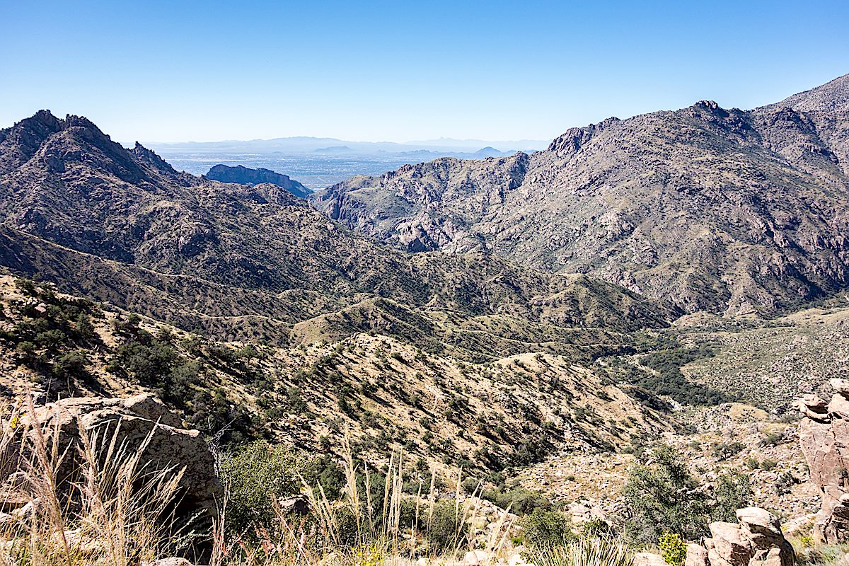 Looking at the Palisade Trail descending towards Sabino Canyon and it's junction with the East Fork Trail. October 2014