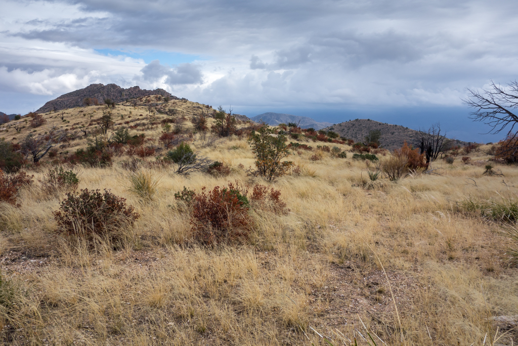 Trail to Point 4981. December 2013.