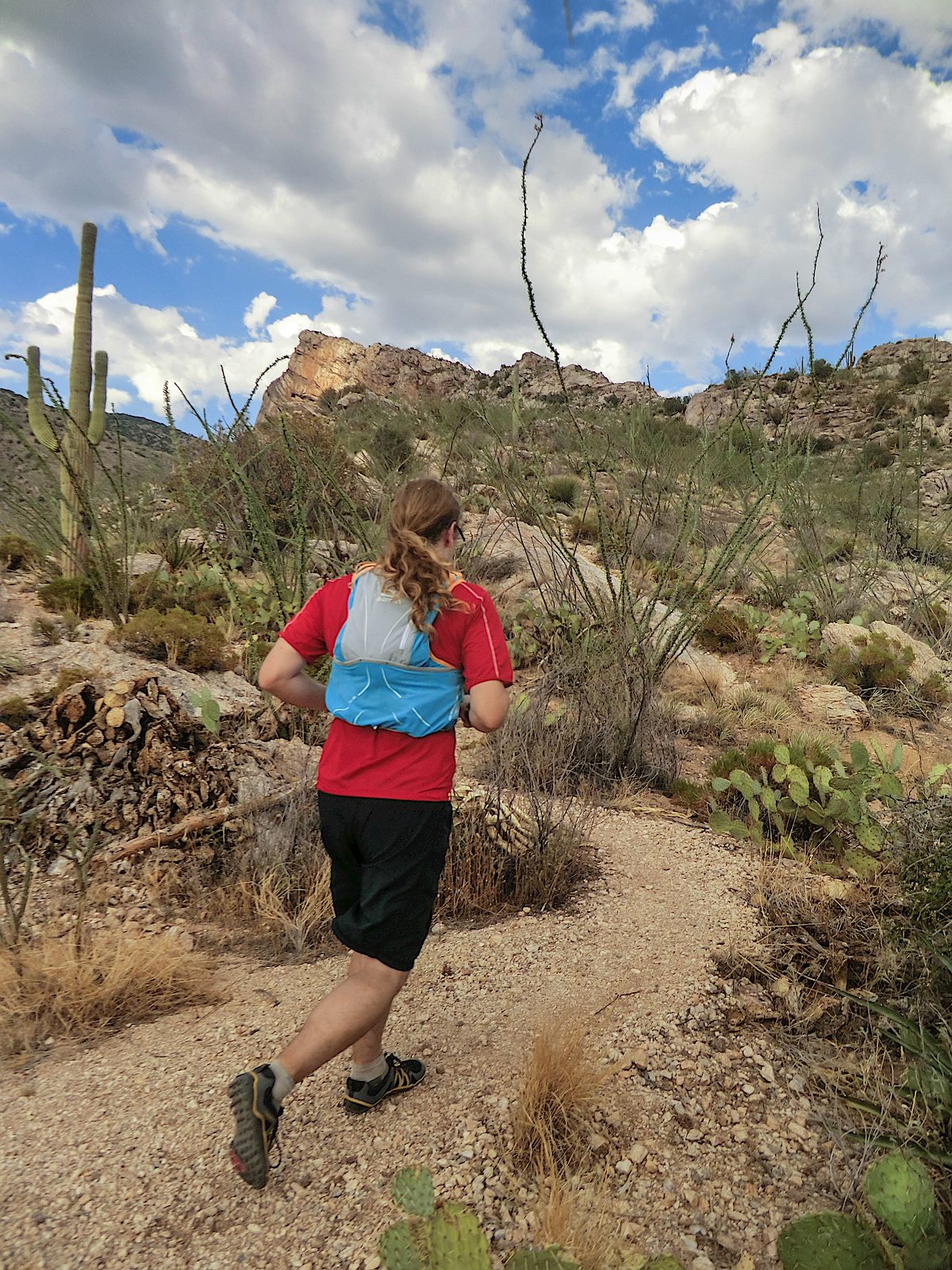 Running on the Pontatoc Ridge Trail. August 2013.