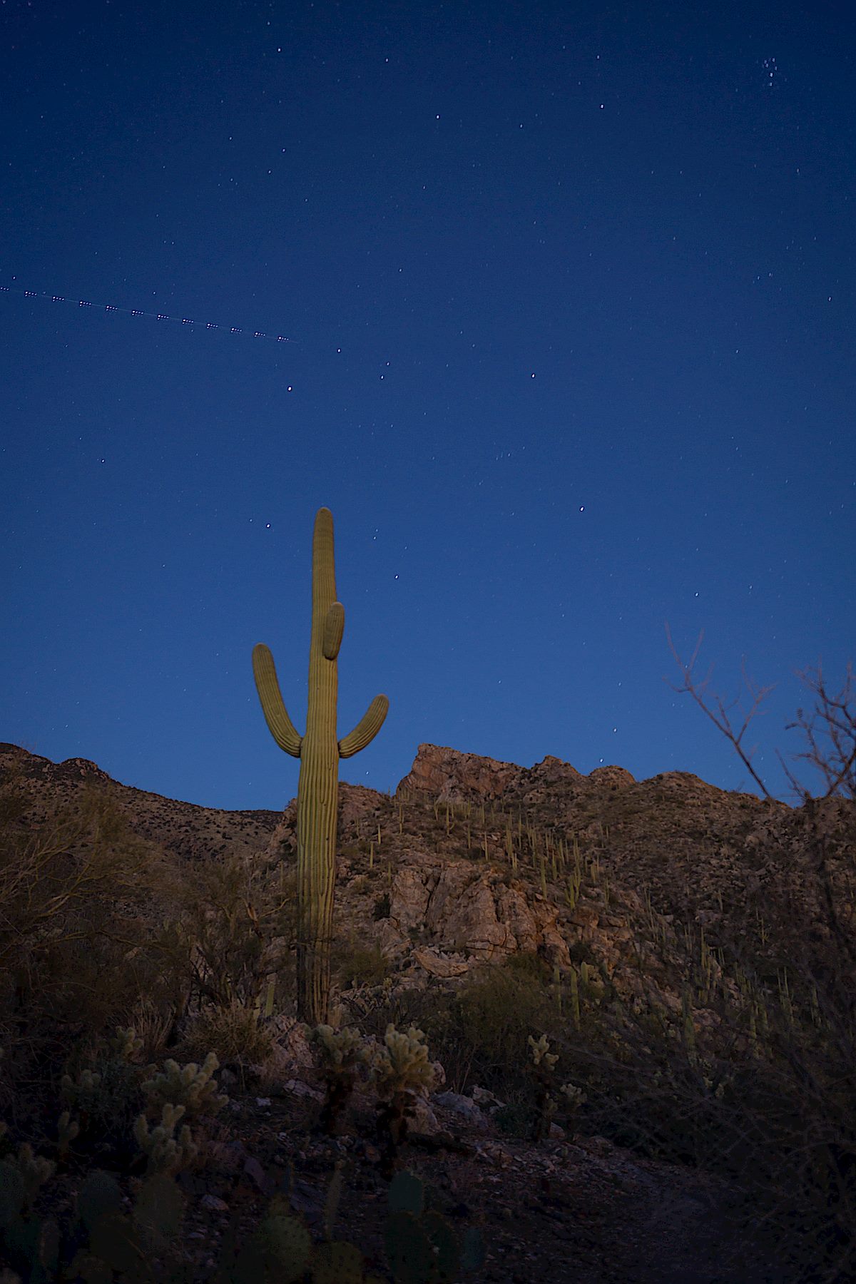 Night on the Pontatoc Ridge Trail. January 2014.