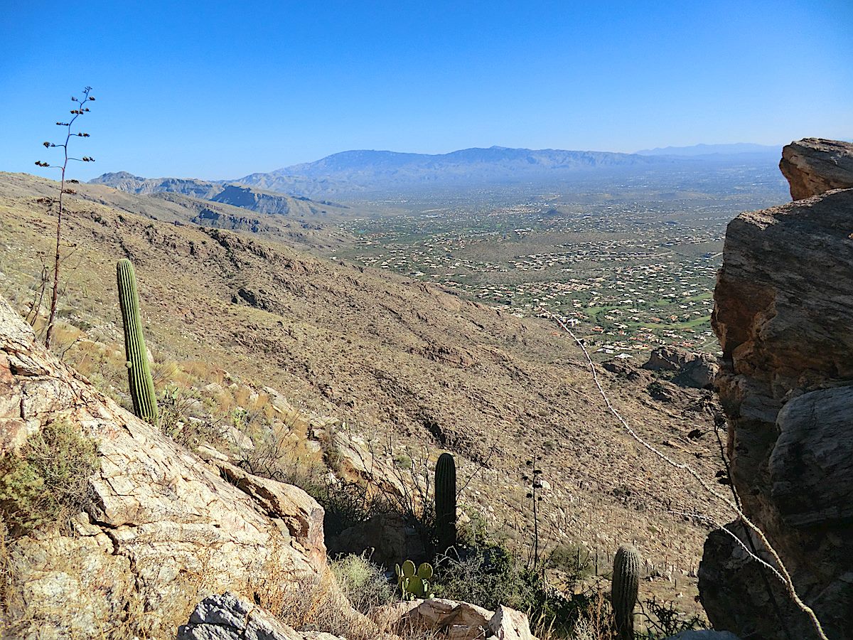 A view west over the Santa Catalina Mountains after working up a steep section of unofficial trail onto the ridge. November 2012.