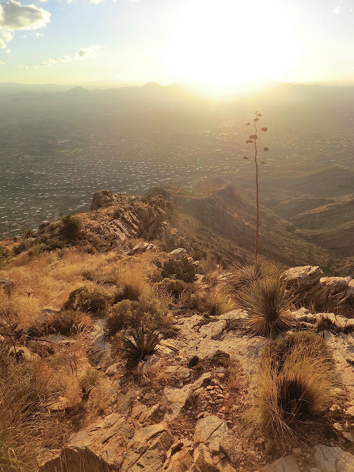 Looking down the ridge. November 2012.