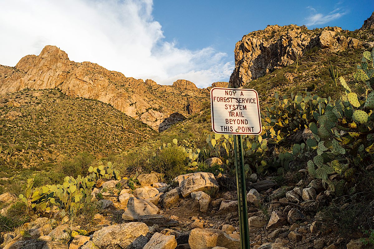 The sign that used to mark the junction of the Linda Vista Trails and the route to Pusch Peak. November 2013.