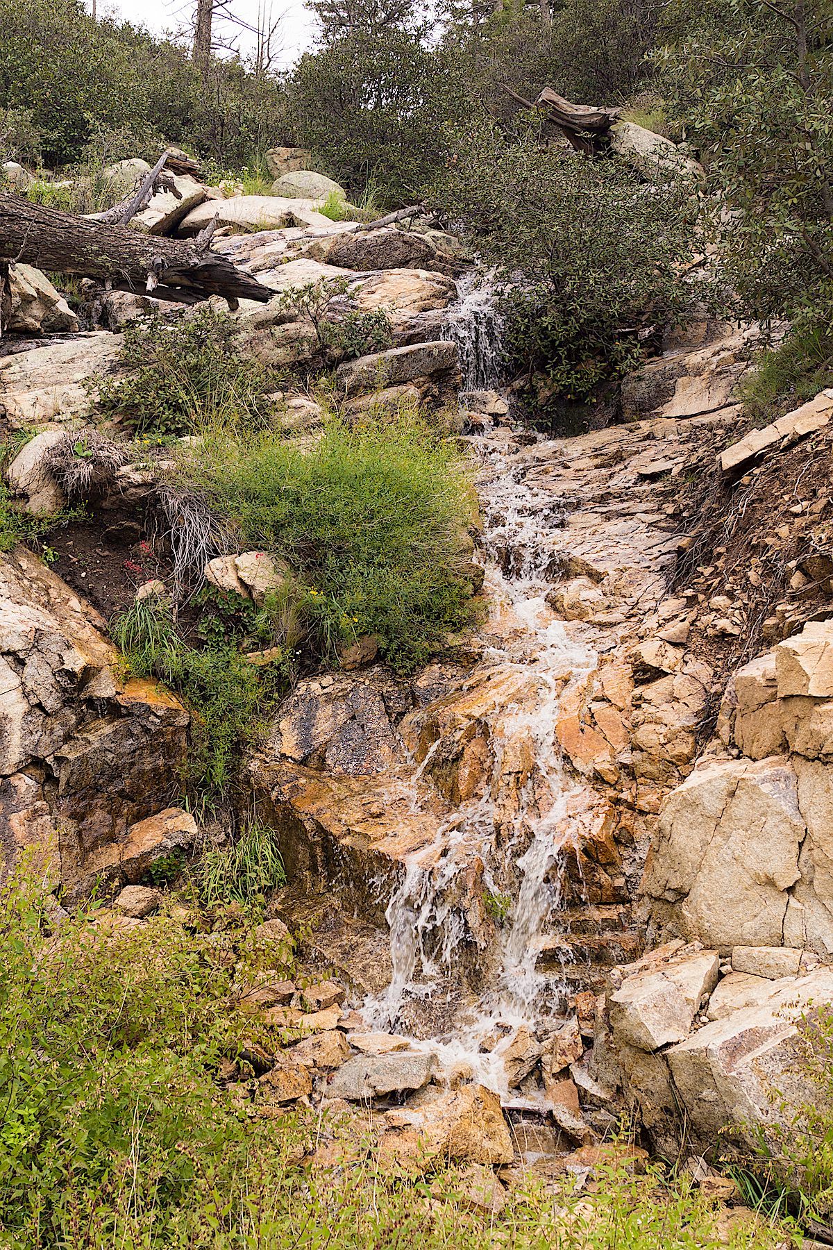 Water running in the small drainage near the Ridgeline Parking Pullout - the unofficial climbers trail to the Incinerator Ridge Trail and Ridgeline Climbing Area starts to the left of the drainage. September 2014.