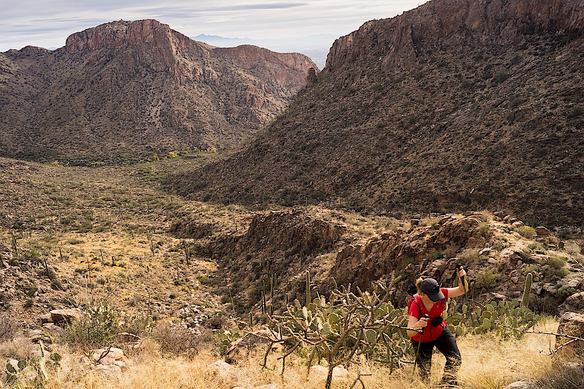 Hiking up to the Cleaver with the cliffs of Rosewood point across the canyon. November 2013.