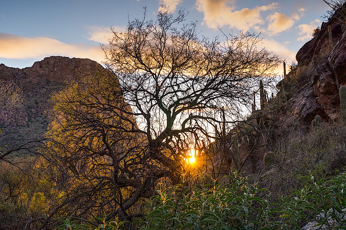 Sunset on the Pima Canyon Trail - Rosewood Point on the Skyline (left). January 2014.