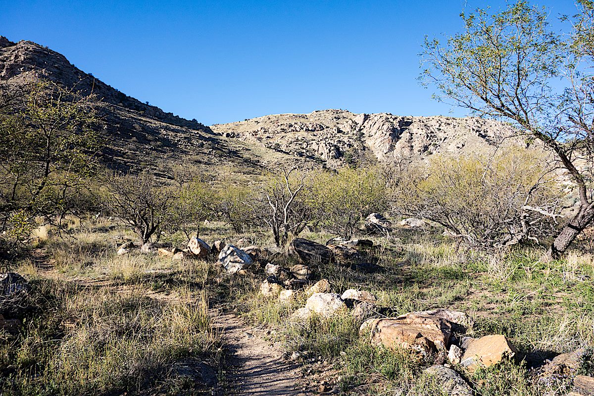 A short section thru the Mesquites near Soldier Canyon. March 2014.