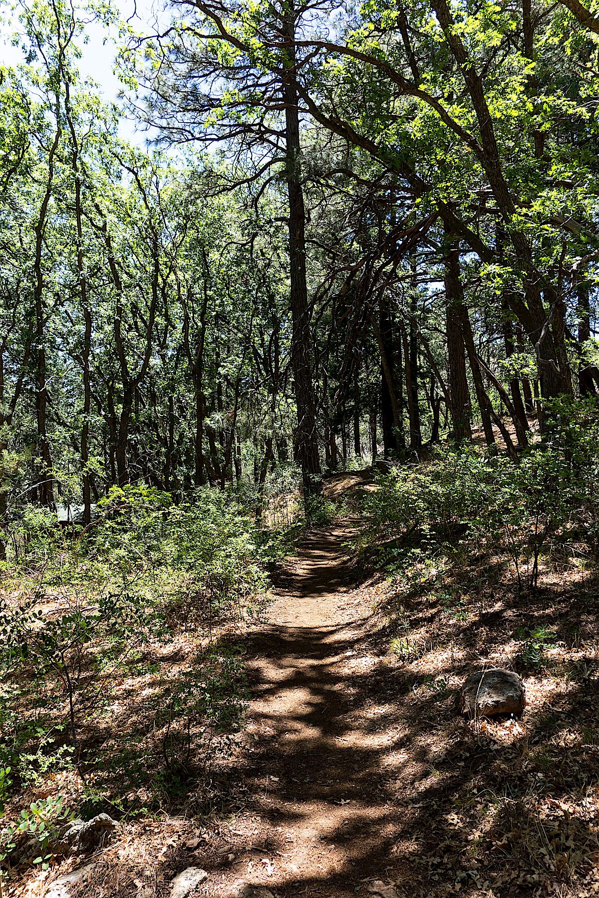 Looking up Sabino Canyon towards Marshall Gulch. June 2014.