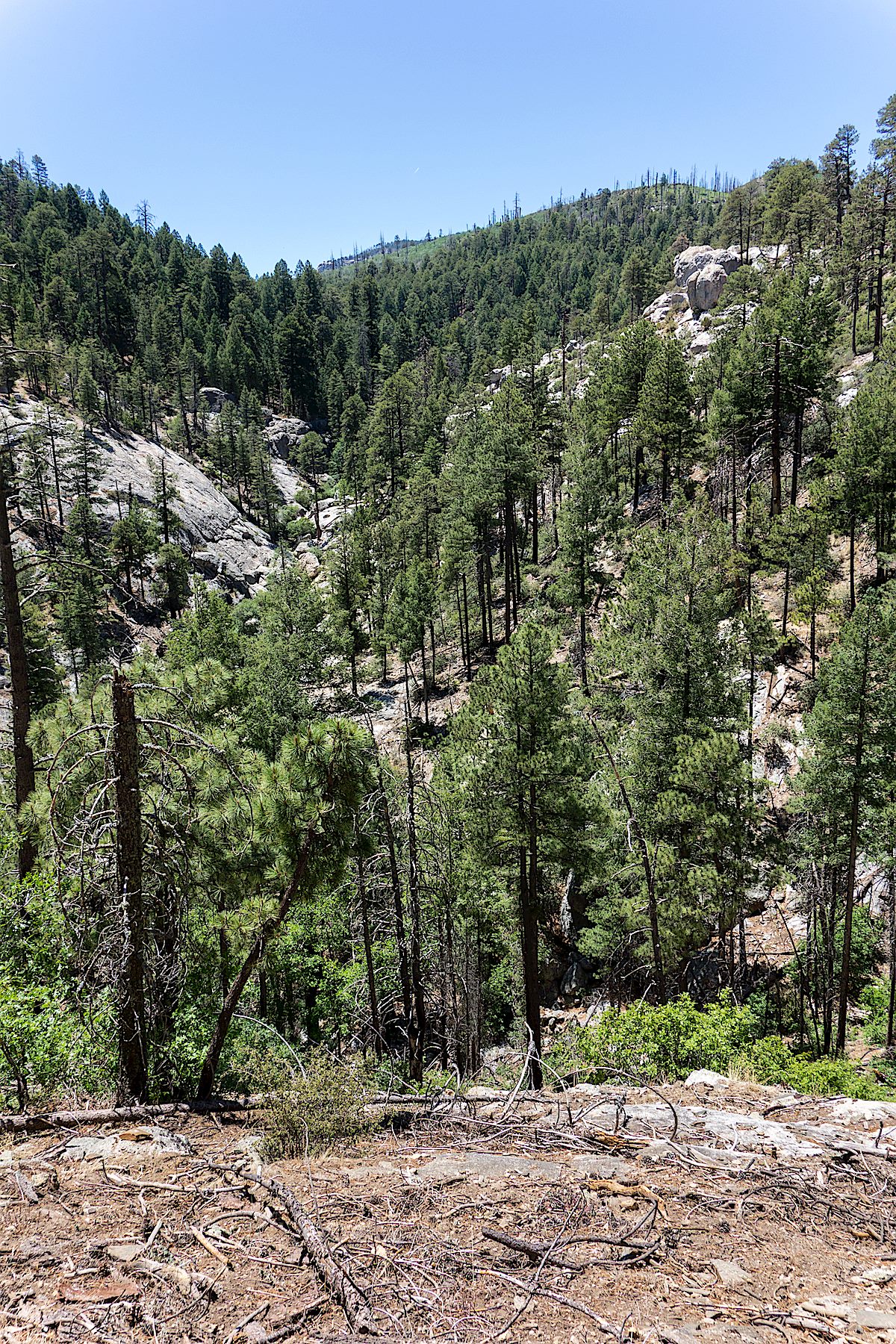 Looking up Sabino Canyon towards Marshall Gulch. June 2014.