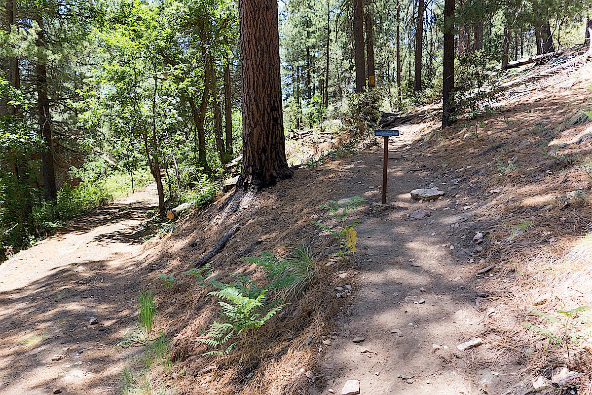 The start of the Sunset Trail. June 2014.