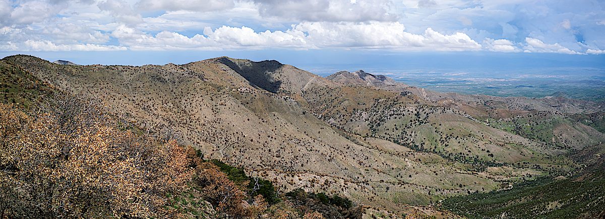 Looking toward Evans Mountain from near the end of the Upper Brush Corral Trail. July 2017.