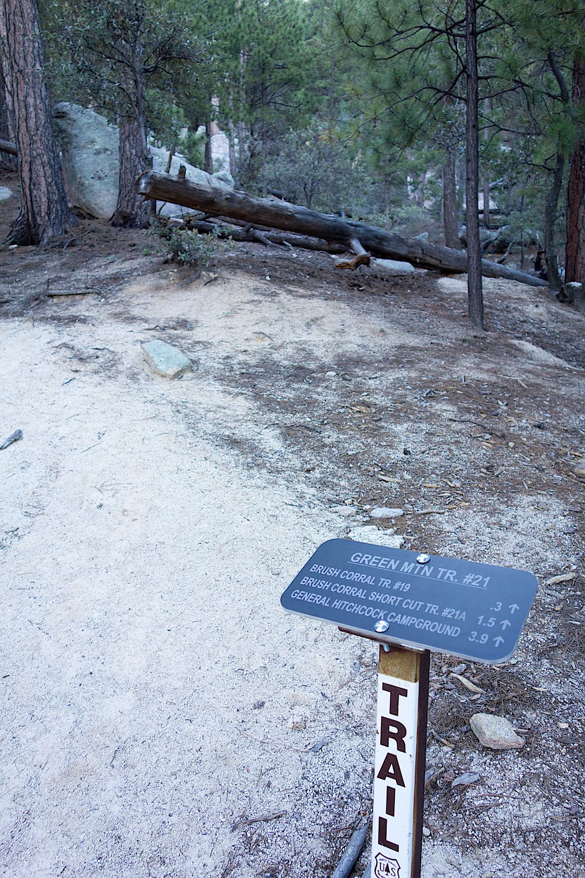 Small trail sign at the start of the trail. September 2014.